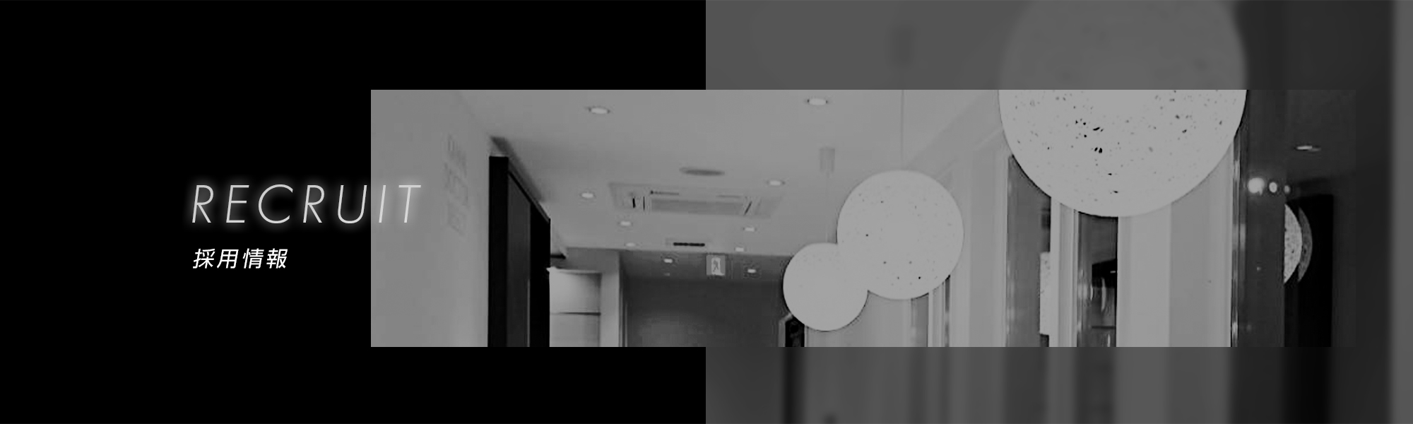 採用情報